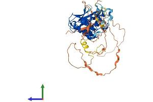 Protein Structure (PS) image for Suppressor of Variegation 4-20 Homolog 2 (SUV420H2) (AA 1-462) protein (His tag) (ABIN7548749)