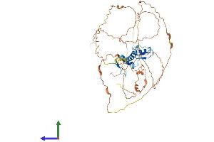 AlphaFold protein structure predicition of Mouse Recombinant Egr2 Protein, UniprotID P08152
