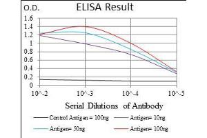 Black line: Control Antigen (100 ng), Purple line: Antigen(10 ng), Blue line: Antigen (50 ng), Red line: Antigen (100 ng), (FLIP 抗体  (AA 100-251))