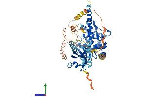 AlphaFold protein structure predicition of Human Recombinant STK3 Protein, UniprotID Q13188 (STK3 Protein (AA 1-491) (His tag))