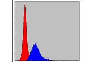 Flow cytometric analysis of MCF-7 cells using CRK mouse mAb (blue) and negative control (red). (Crk 抗体)