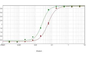 ELISA results of purified Rabbit Anti-Mouse IgG Biotin Conjugated Antibody tested against purified Mouse IgG. (兔 anti-小鼠 IgG (Heavy & Light Chain) Antibody (Biotin) - Preadsorbed)