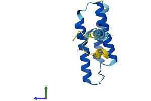 Protein Structure (PS) image for LYR Motif Containing 1 (LYRM1) (AA 1-122) protein (His tag) (ABIN7560526)