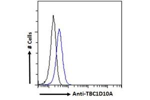 ABIN6391415 Flow cytometric analysis of paraformaldehyde fixed HEK293 cells (blue line), permeabilized with 0. (TBC1D10A 抗体  (N-Term))