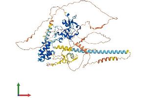 AlphaFold protein structure predicition of Human Recombinant JADE2 Protein, UniprotID Q9NQC1