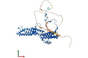 Protein Structure (PS) image for Bestrophin 1 (BEST1) (AA 1-551) protein (His tag) (ABIN7562679)