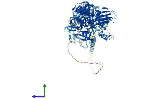 Protein Structure (PS) image for Transmembrane Protease, serine 6 (TMPRSS6) (AA 1-811) protein (His tag) (ABIN7565006)