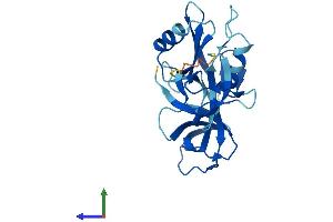 Protein Structure (PS) image for GRB2-Related Adaptor Protein (GRAP) (AA 1-217) protein (His tag) (ABIN7560711)