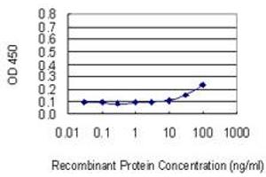 Detection limit for recombinant GST tagged PRLR is 10 ng/ml as a capture antibody. (Prolactin Receptor 抗体  (AA 371-479))