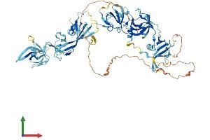 Protein Structure (PS) image for Chromosome 1 Open Reading Frame 38 (C1orf38) (AA 1-663) protein (His tag) (ABIN7560123)