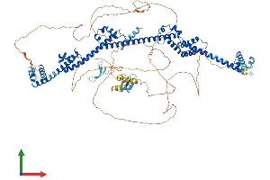 Protein Structure (PS) image for PRP40 Pre-mRNA Processing Factor 40 Homolog A (PRPF40A) (AA 1-953) protein (His tag) (ABIN7565185)