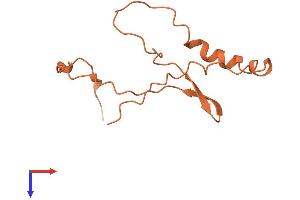 AlphaFold protein structure predicition of Human Recombinant BAALC-AS2 Protein, UniprotID P0C853 (C8ORF56 Protein (AA 1-105) (His tag))