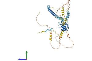 Protein Structure (PS) image for Peroxisomal Biogenesis Factor 13 (PEX13) (AA 1-403) protein (His tag) (ABIN7550692)