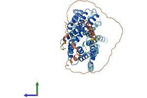 Protein Structure (PS) image for Solute Carrier Family 16 (Monocarboxylic Acid Transporters), Member 4 (SLC16A4) (AA 1-500) protein (His tag) (ABIN7559638)