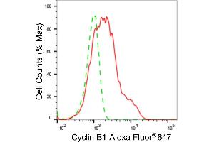 Flow cytometric analysis of Cyclin B1 expression in HeLa cells using Cyclin B1 antibody (ABIN7798189), 1:2,000). (Recombinant Cyclin B1 抗体)