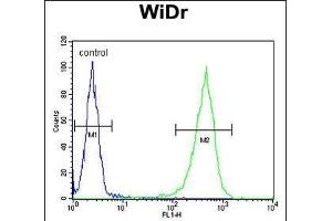 CCDC3 Antibody (C-term) (ABIN652692 and ABIN2842461) flow cytometric analysis of WiDr cells (right histogram) compared to a negative control cell (left histogram). (CCDC3 抗体  (C-Term))