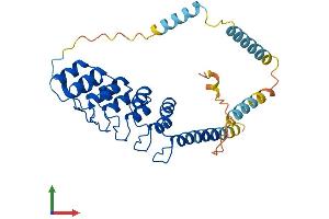 Protein Structure (PS) image for Ankyrin Repeat Domain 1 (Cardiac Muscle) (ANKRD1) (AA 1-319) protein (His tag) (ABIN7552217)