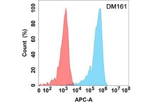 Flow cytometry analysis with Anti-CD5 (DM161) on Expi293 cells transfected with human CD5 (Blue histogram) or Expi293 transfected with irrelevant protein (Red histogram). (CD5 抗体  (AA 25-372))