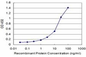 Detection limit for recombinant GST tagged AKT2 is approximately 1ng/ml as a capture antibody. (AKT2 抗体  (AA 100-189))