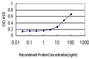 ELISA image for anti-Proteasome (Prosome, Macropain) Subunit, beta Type, 6 (PSMB6) (AA 1-239) antibody (ABIN562482)