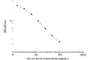 Adrenocorticotropic hormone (ACTH) ELISA Kit