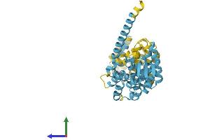 Protein Structure (PS) image for Proteasome (Prosome, Macropain) 26S Subunit, Non-ATPase, 13 (PSMD13) (AA 1-376) protein (His tag) (ABIN7551076)