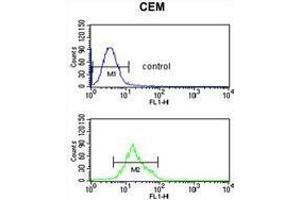 TCHP Antibody (Center) flow cytometric analysis of CEM cells (bottom histogram) compared to a negative control cell (top histogram). (TCHP 抗体  (Middle Region))