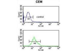 TCHP Antibody (Center) flow cytometric analysis of CEM cells (bottom histogram) compared to a negative control cell (top histogram).