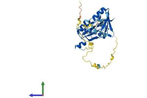 AlphaFold protein structure predicition of Mouse Recombinant Snrpa Protein, UniprotID Q62189 (SNRPA1 Protein (AA 1-287) (His tag))