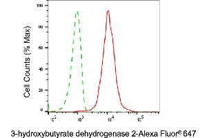Flow cytometric analysis of 3-hydroxybutyrate dehydrogenase 2 expression in HepG2 cells using 3-hydroxybutyrate dehydrogenase 2 antibody (ABIN7797419), 1:1,000).