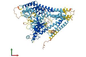 Protein Structure (PS) image for Nuclear GTPase, Germinal Center Associated (NUGGC) (AA 1-796) protein (His tag) (ABIN7562091)