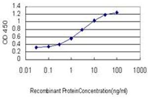 Detection limit for recombinant GST tagged SAV1 is approximately 0. (SAV1 抗体  (AA 300-383))