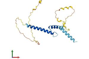 Protein Structure (PS) image for Scleraxis (SCXA) (AA 1-207) protein (His tag) (ABIN7557810)