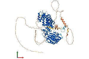 Protein Structure (PS) image for Aspartate beta-Hydroxylase (ASPH) (AA 1-741) protein (His tag) (ABIN7558863)