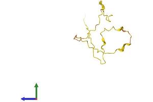 AlphaFold protein structure predicition of Human Recombinant SPATA8 Protein, UniprotID Q6RVD6