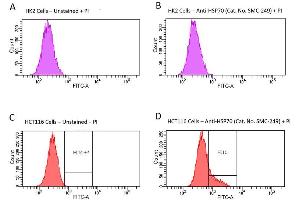 Fluorescence-activated cell sorting analysis using Mouse Anti-HSP70 Monoclonal Antibody, Clone 1H11: FITC conjugate . (HSP70 抗体)