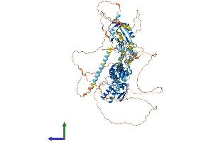 Protein Structure (PS) image for Potassium Voltage-Gated Channel, Subfamily H (Eag-Related), Member 3 (Kcnh3) (AA 1-1083) protein (His tag) (ABIN7554356)