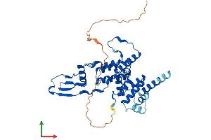 Protein Structure (PS) image for Mitochondrial Ribosomal Protein S22 (MRPS22) (AA 1-360) protein (His tag) (ABIN7551586)