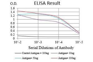 Black line: Control Antigen (100 ng), Purple line: Antigen(10 ng), Blue line: Antigen (50 ng), Red line: Antigen (100 ng), (EGFR 抗体  (AA 693-893))