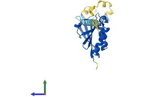 AlphaFold protein structure predicition of Mouse Recombinant Desi2 Protein, UniprotID Q9D291