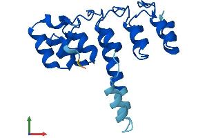 AlphaFold protein structure predicition of Mouse Recombinant Ankrd22 Protein, UniprotID Q9D3J5 (ANKRD22 Protein (AA 1-191) (His tag))