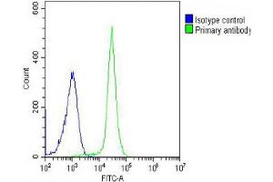 Overlay histogram showing K562 cells stained with (ABIN657293 and ABIN2846379) (green line). (IL1RL2 抗体  (AA 257-286))
