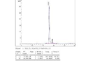 Image no. 2 for Interleukin 12 (IL12) (AA 23-219), (AA 23-328) (Active) protein (ABIN2018013)