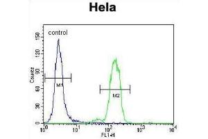 Flow Cytometry (FACS) image for anti-BCL2-Associated Agonist of Cell Death (BAD) (BH3 Domain) antibody (ABIN2997223)
