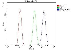 Flow Cytometry analysis of U20S cells using anti-KIF15 antibody (ABIN6719385).