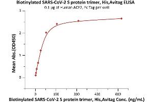 Immobilized Human ACE2, Fc Tag (ABIN6952459,ABIN6952465) at 1 μg/mL (100 μL/well) can bind Biotinylated SARS-CoV-2 S protein trimer, His,Avitag (ABIN6992366) with a linear range of 2-78 ng/mL (QC tested).