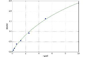A typical standard curve