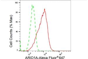 Flow cytometric analysis of ARID1A expression in C2C12 cells using ARID1A antibody (ABIN7797666), 1:2,000). (Recombinant ARID1A 抗体)
