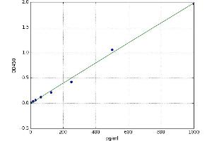 Spectrin alpha Chain, Brain (SPTAN1) ELISA Kit