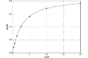 A typical standard curve (DDT ELISA 试剂盒)